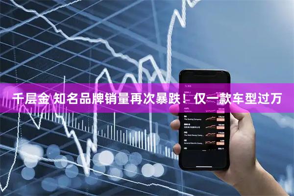 千层金 知名品牌销量再次暴跌！仅一款车型过万